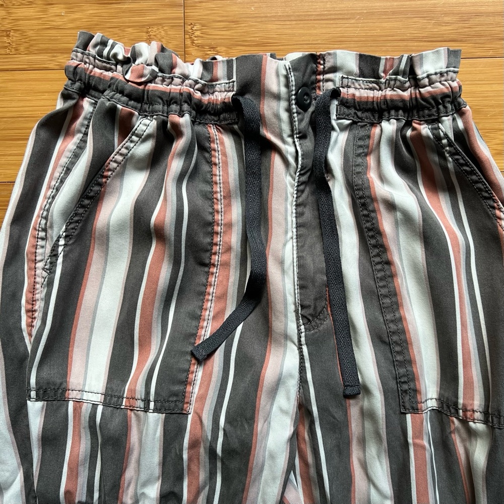 American Eagle Outfitters jogger style pants